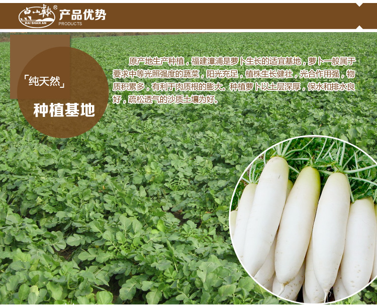 【邮乐漳州漳浦馆】陈年老菜脯茶 10年典藏版 70g*4罐 礼盒装