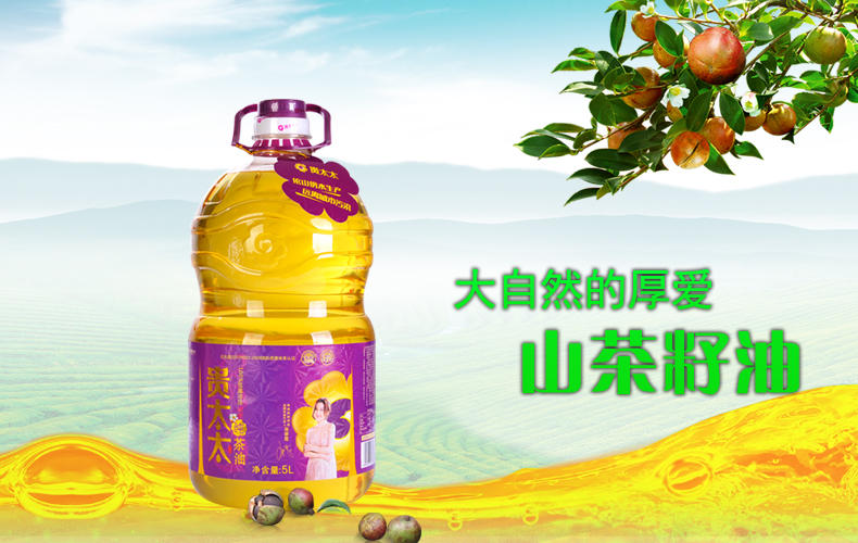 【长沙馆】贵太太 宝宝食用油 纯茶油低温冷榨 5L 大桶装