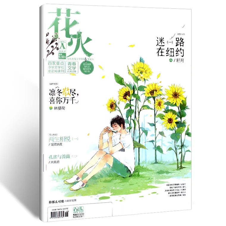 【长沙邮政书刊零售旗舰店】预售《花火》1年12期  三个月起订