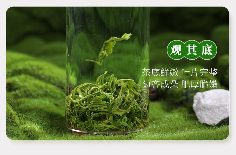 金井牌 长沙县 一级绿茶 250g/包