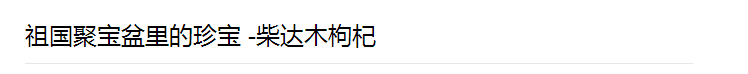 祖国聚宝盆里的珍宝 -柴达木枸杞450g 礼盒装