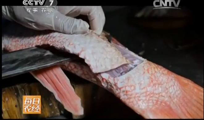 创华红鱼干 晾晒好的整条红鱼干 野生海鱼  500g