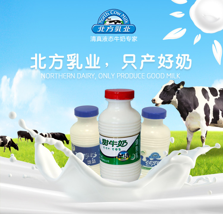 银泉 北方乳业塑瓶纯甜牛奶 新鲜早餐奶243ml*24瓶/箱