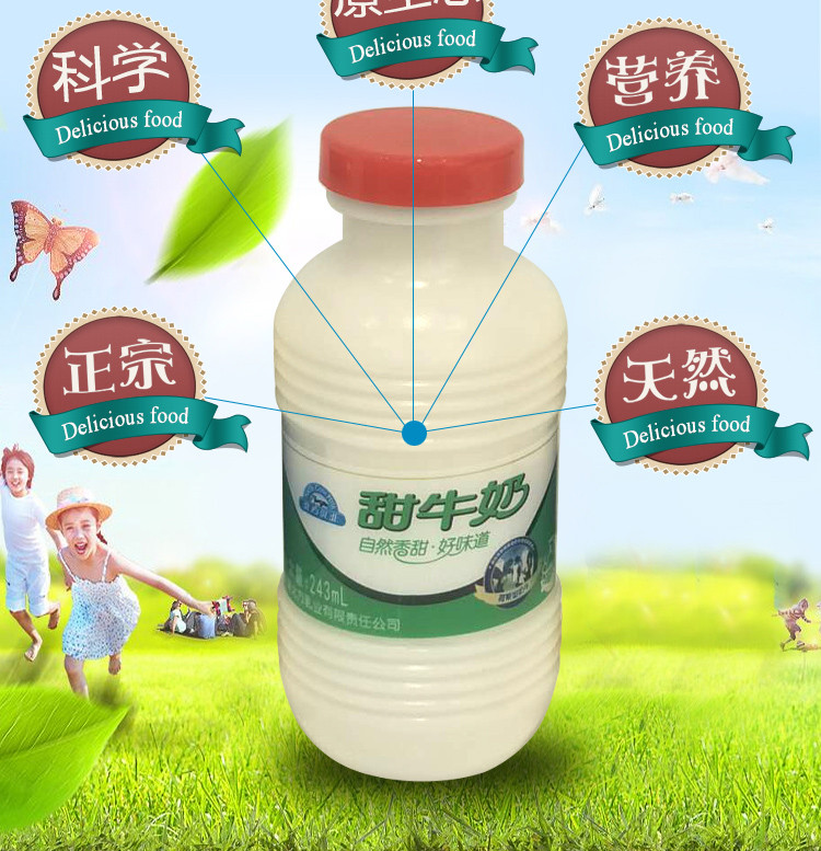 银泉 北方乳业塑瓶纯甜牛奶 新鲜早餐奶243ml*24瓶/箱