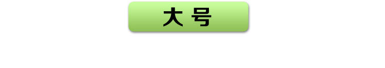 友纳 多功能透明窗可视三件套 收纳箱 收纳盒 可视箱（大号）