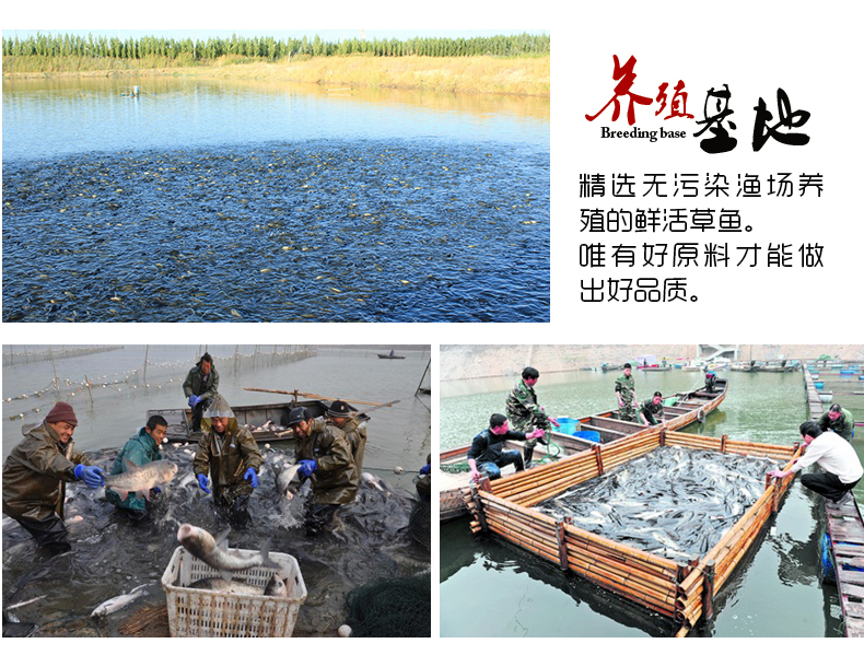 知味观醉鱼干 白马湖鱼块鱼干零食即食真空包装160g杭州特产醉鱼