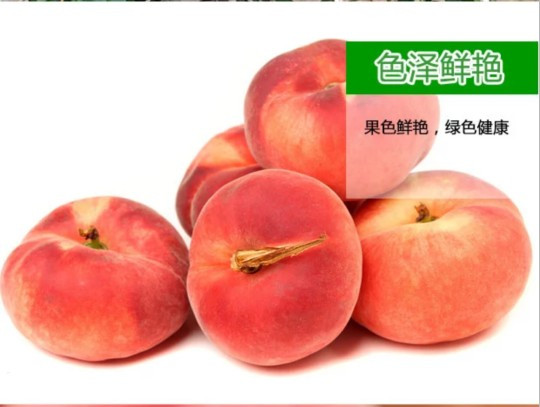 【金华特产】源东蟠桃精品礼盒 2400g （200g*12） 应季商品7月发货