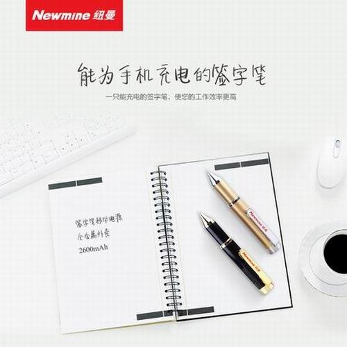 纽曼（Newmine）13000mAh 移动电源/充电宝 双USB输出液晶数显 NM105