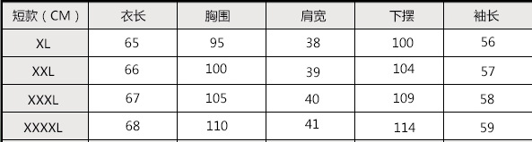 R中老年女装秋装T恤 40-50-岁妈妈装长袖大码绣花V领针织衫上衣女