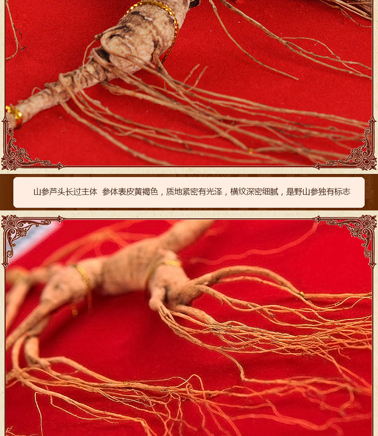 一庆堂 航空包邮 一庆堂国检28年左右野山参礼盒 东北人 参长白山野生山参