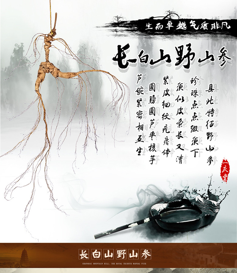 一庆堂 航空包邮 一庆堂国检28年左右野山参礼盒 东北人 参长白山野生山参