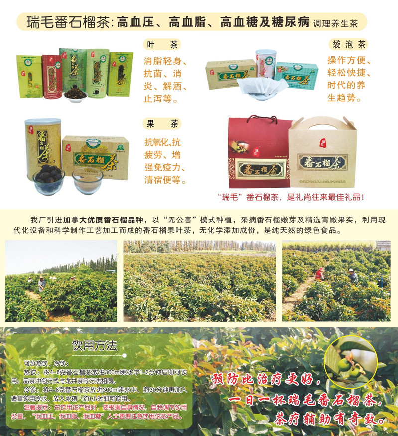 【江门馆】瑞毛番石榴茶（叶茶）150克