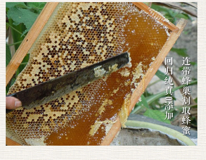 邮乐萍乡馆 老俵情 500g 芦溪特产 长丰野生蜂蜜  【新蜜特卖】