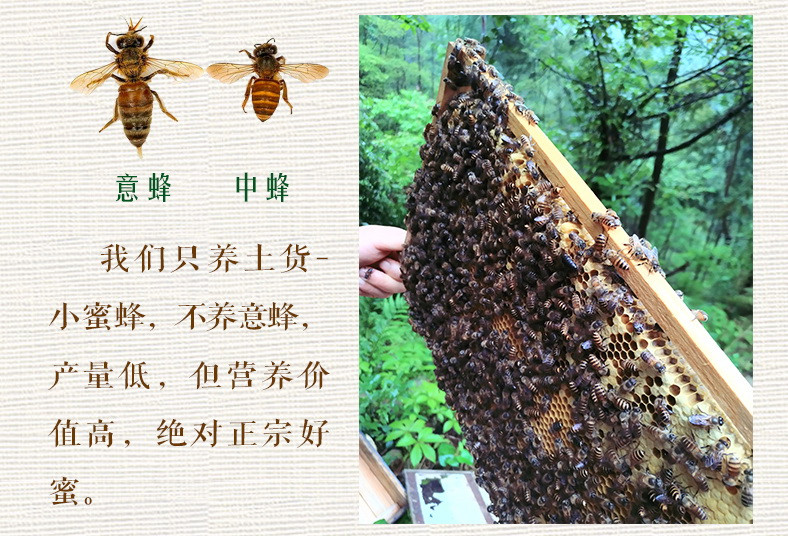 邮乐萍乡馆 老俵情 500g 芦溪特产 长丰野生蜂蜜  【新蜜特卖】