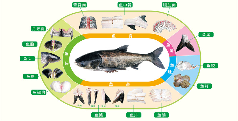 【鱼先生】千岛湖 鳙鱼骨 500g*2包 鱼先生 （限江浙沪）