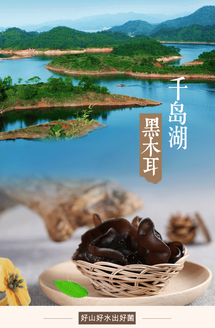 【千岛农品】千岛湖黑木耳袋装250g