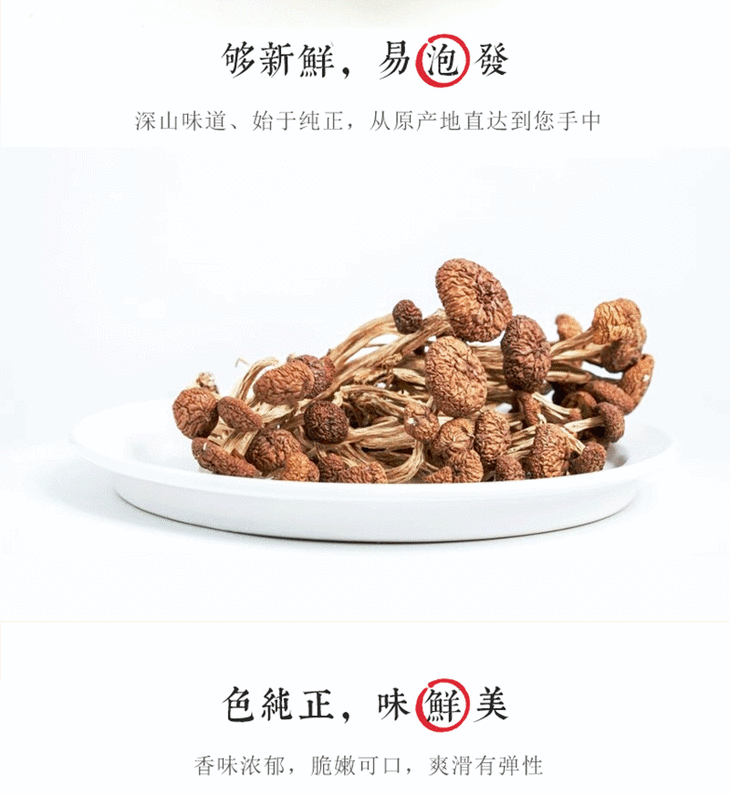 【千岛农品】千岛湖茶树菇200g