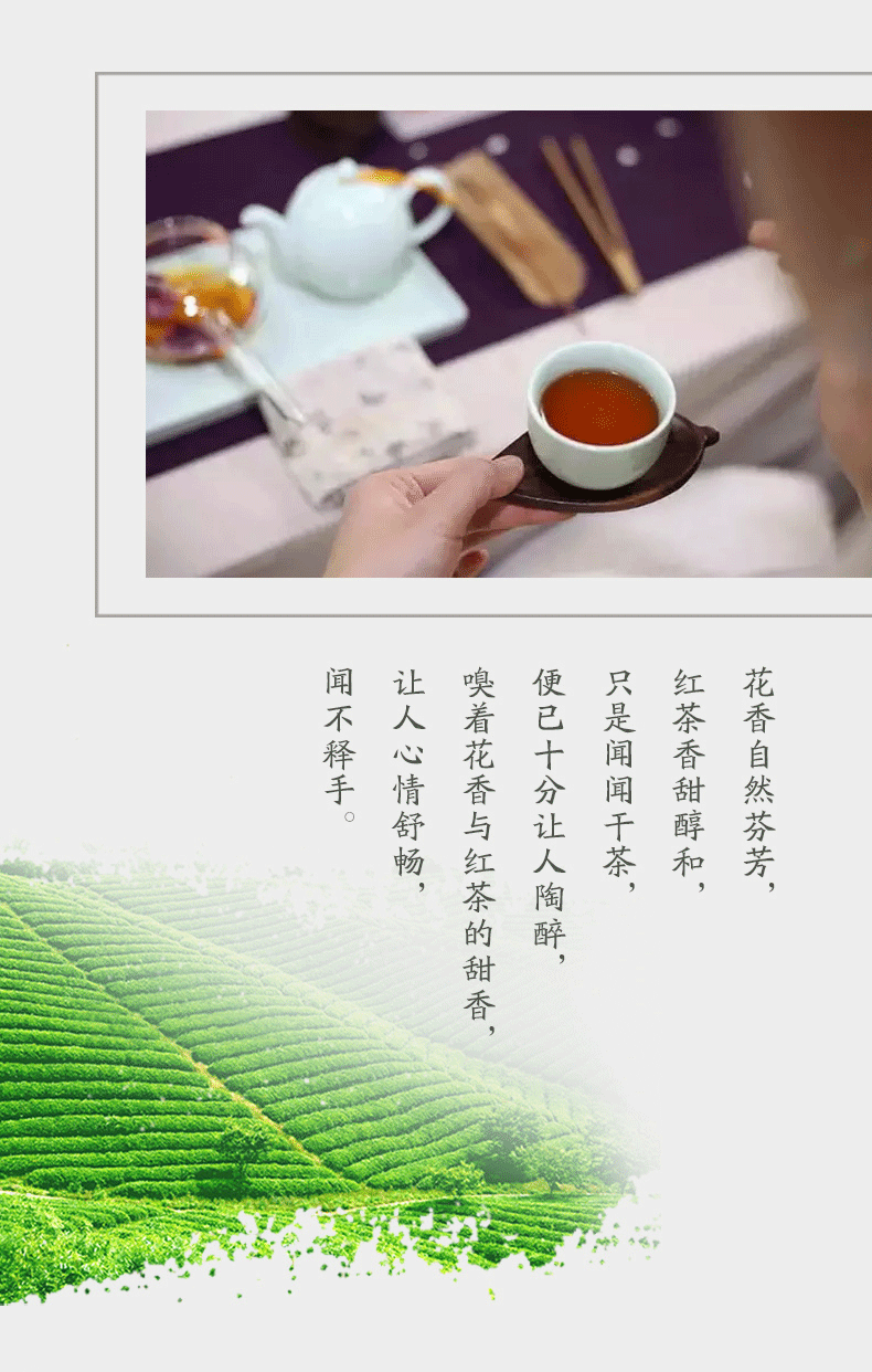 淳农源 【团购】千岛湖玫桂红茶暖香玉