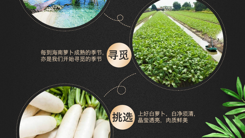  【海口邮政】爽口香脆酱萝卜450g*2瓶 昌茂