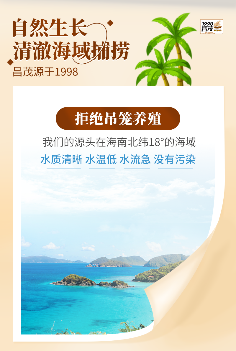  【海口邮政】昌茂海鲜干货礼盒520g 昌茂