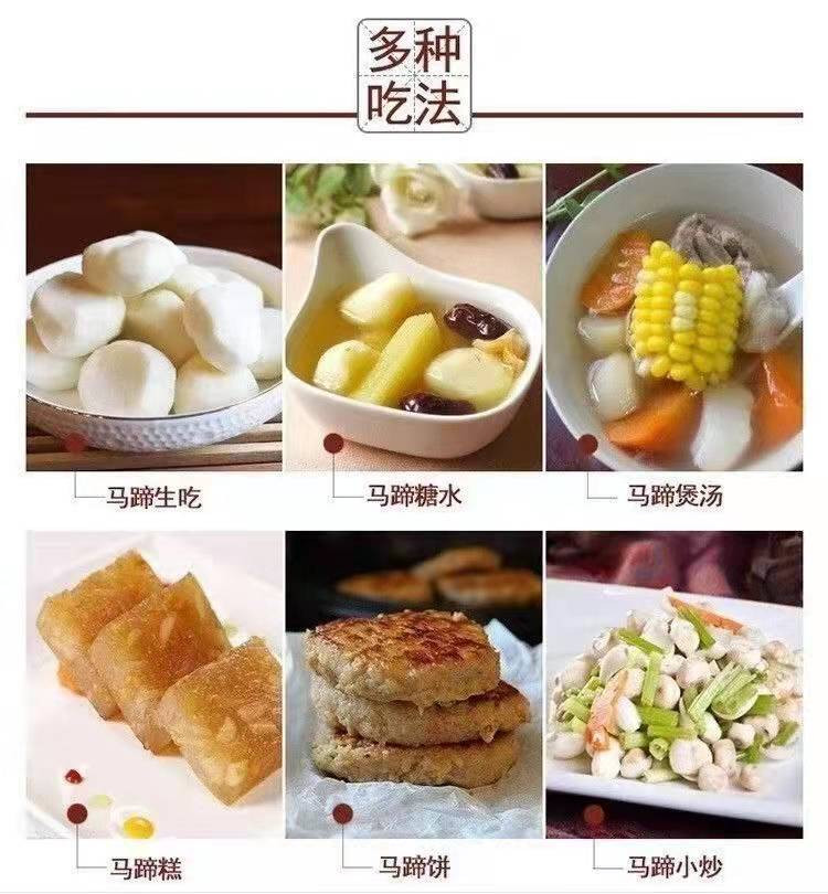 邮鲜生 【桂林市乡村振兴馆】正宗广西荔浦马蹄5斤装（±100g）农家自种新鲜现挖中大果