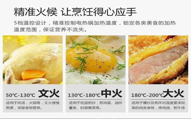 【邮乐濮阳馆】TQ 锅 电锅 炒锅 焖锅 全能烹饪锅 雪鸟