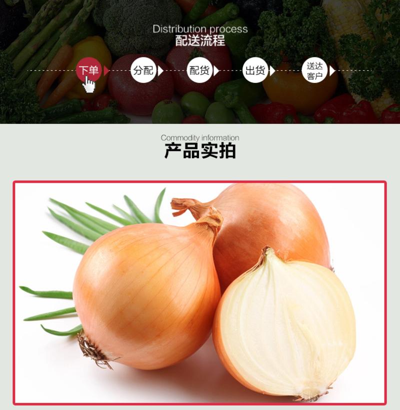 【邮乐濮阳馆】 KF 新鲜洋葱黄皮洋葱农家圆葱珠葱新鲜蔬菜非紫皮洋葱5斤包邮