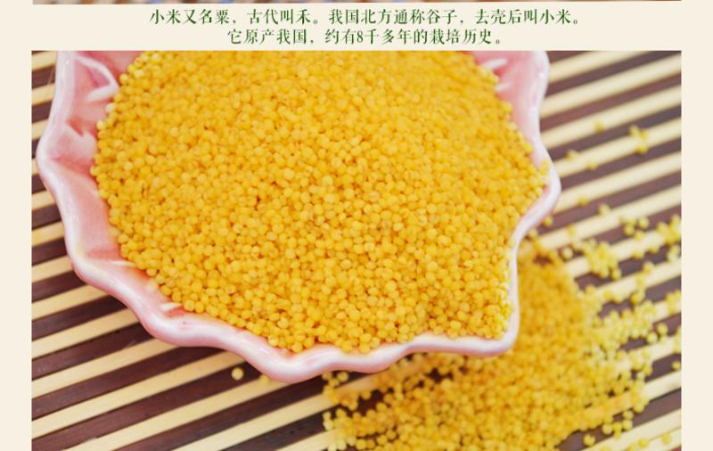 托古小米410g 绿色食品营养黄小米大米散装 东北特产杂粮