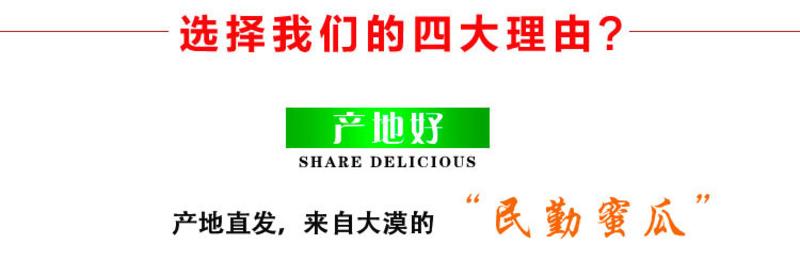 【邮乐 甘肃馆】“沙瓜先生”武威民勤蜜瓜2个装（7-8斤） 全国包邮