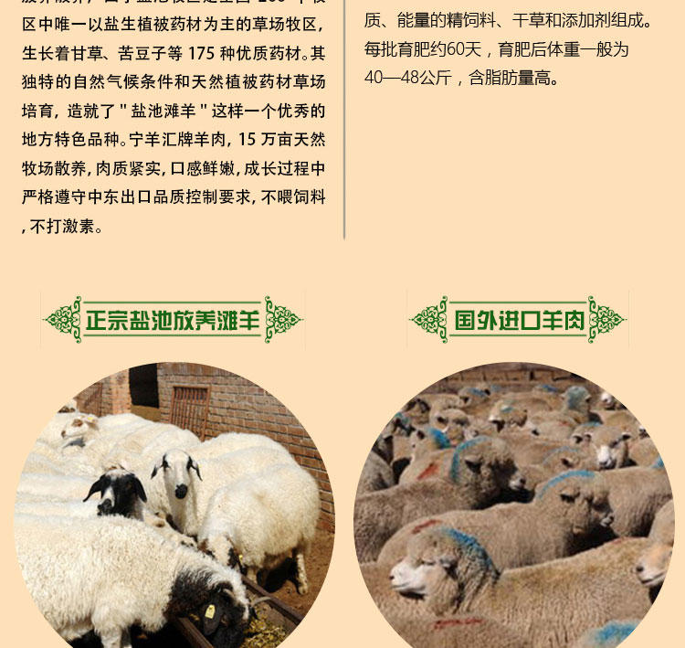 【宁夏特产】宁羊汇 盐池滩羊肉 前羊腿（约3斤 ）