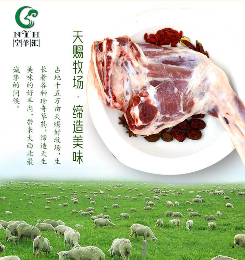 【宁夏特产】宁羊汇 盐池滩羊肉 前羊腿（约3斤 ）