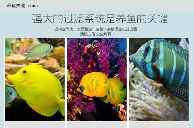 创意鱼缸迷你水族箱闽江宝来金钻小型超白玻璃38cm标配