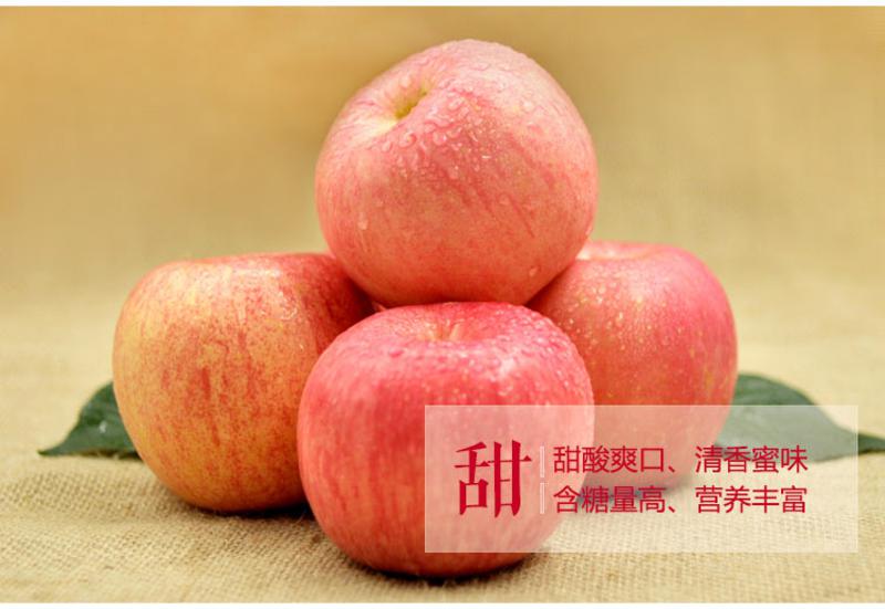 烟台栖霞红富士原产地 苹果净重4kg 包邮 85#  新鲜 生态