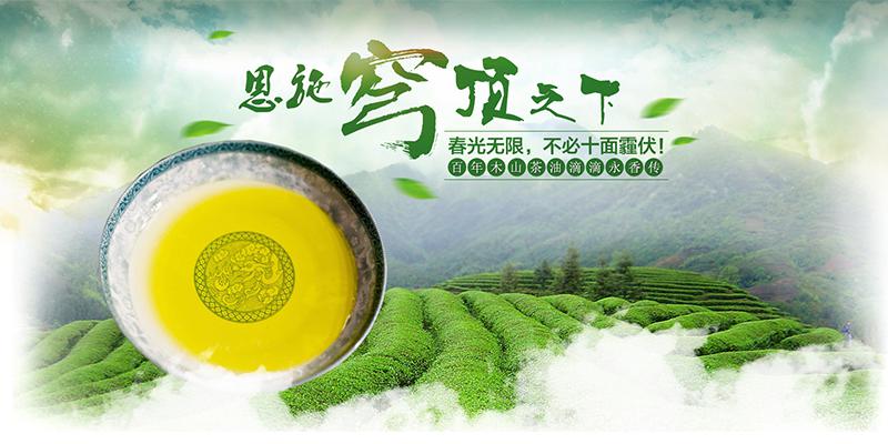 “百年木”非转基因压榨野生纯山茶油500ml*2礼盒茶籽油 胜橄榄油