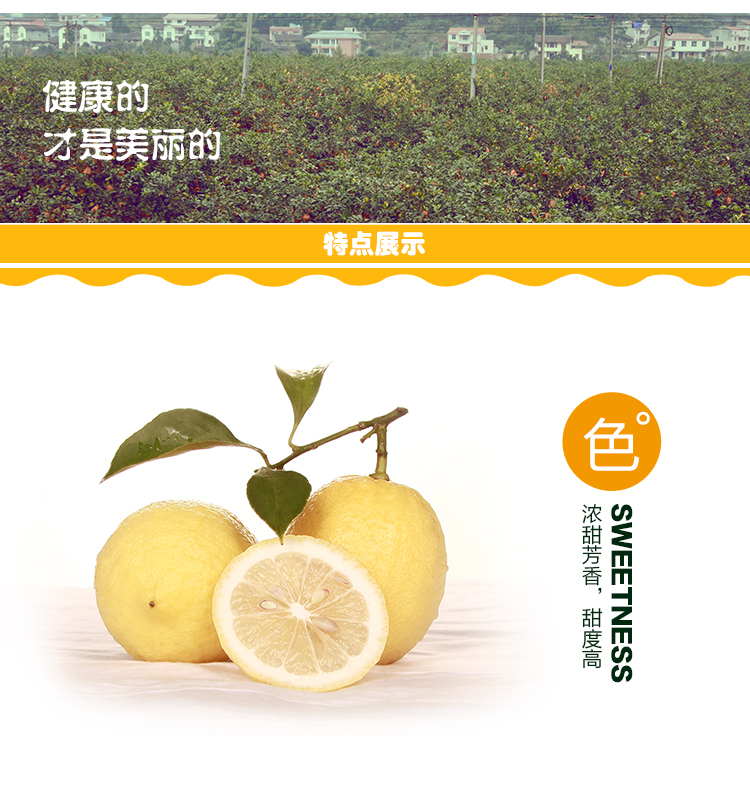 柠檬小仙 安岳新鲜黄柠檬一级果8枚 酵素榨汁水果现发包邮