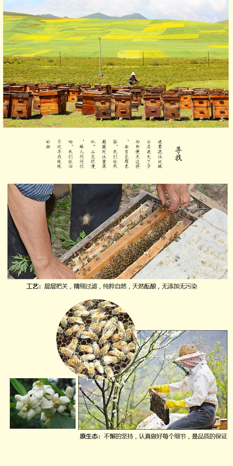 昌田蜂蜜 天然农家自产野生纯蜜土蜜 柑桔花蜂蜜450ml