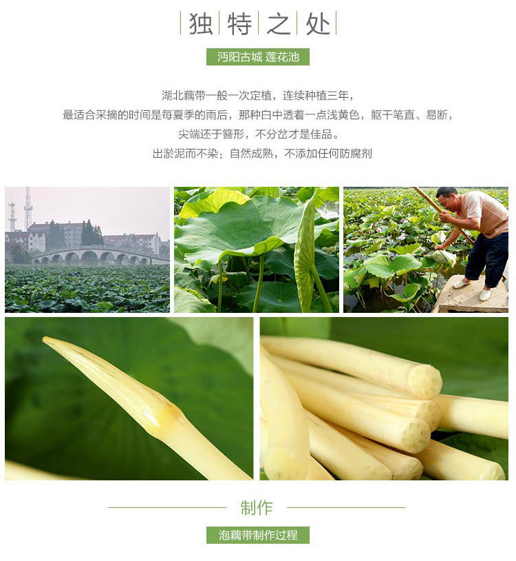 茂盛绿泡藕带拌菜凉菜农家小熟食酸辣泡椒藕尖下饭菜400g开袋即食