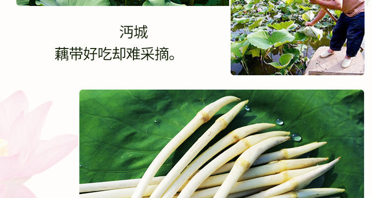 [整箱20袋批发]茂盛绿泡藕带拌菜凉菜农家小熟食酸辣泡椒藕尖下饭菜400g开袋即食