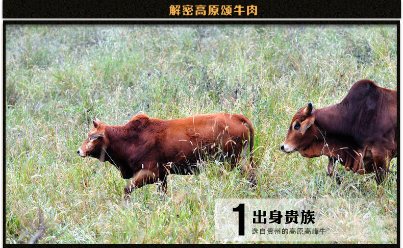 【贵州特产】高原颂贵州高峰牛微辣醇香卤汁牛肉脯250g