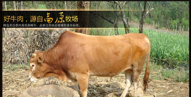 【贵州特产】高原颂回味无穷麻辣香菇牛肉250g