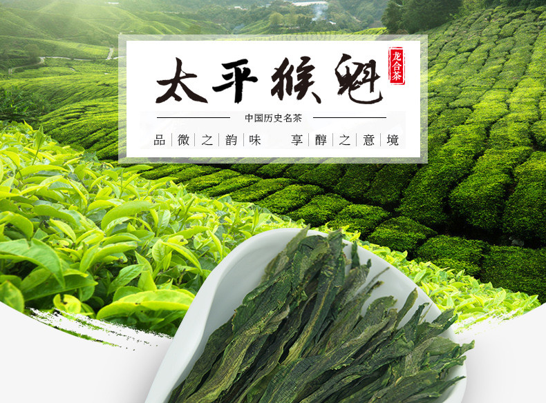 龙合春茶安徽黄山太平猴魁手工捏尖绿茶75g罐装茶叶