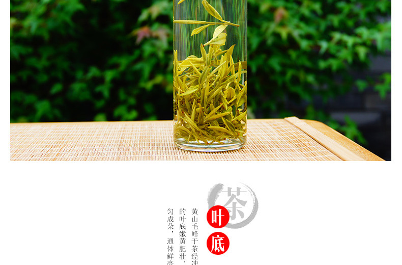 龙合嫩芽安徽明前春茶黄山毛峰毛尖徽茶250g罐装茶叶