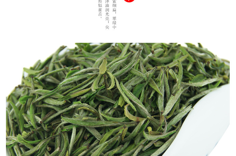 龙合嫩芽安徽明前春茶黄山毛峰毛尖徽茶250g罐装茶叶