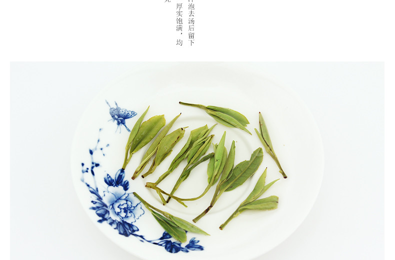 龙合春茶特级黄山毛峰礼盒装120g雀舌绿茶茶叶