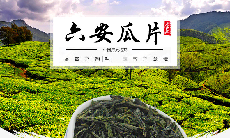 龙合春茶安徽一级六安瓜片手工绿茶250g罐装茶叶