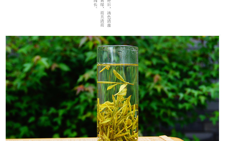 龙合头采嫩芽安徽明前春茶特级黄山毛峰毛尖75g罐装绿茶茶叶