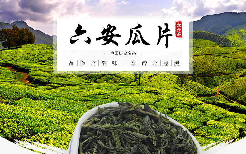 【4盒装】春茶安徽六安瓜片绿茶50g/盒共200g茶叶
