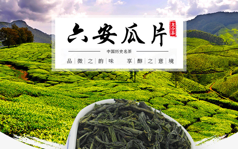 H春茶安徽六安瓜片绿茶50g盒装茶叶