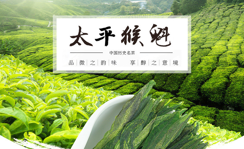 龙合春茶安徽黄山雨前一级太平猴魁正宗机制布尖绿茶125g茶叶