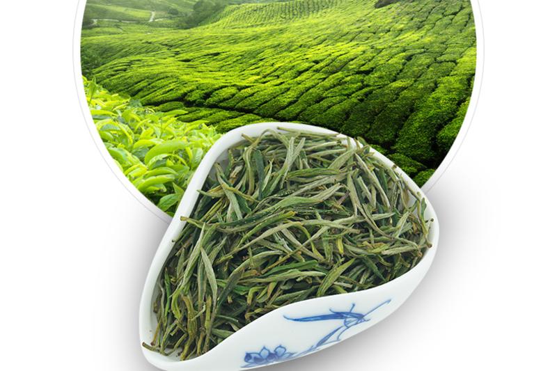 龙合 H新茶春茶一级安徽原产黄山毛峰50g袋装绿茶雨前茶叶